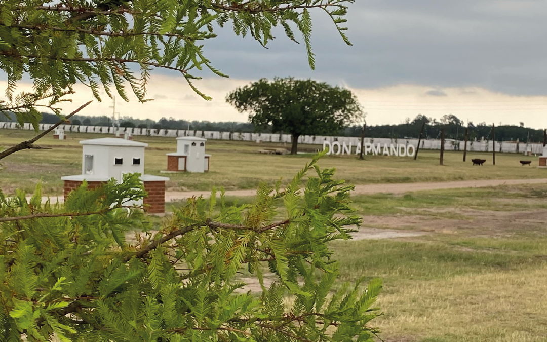 Avance de Obras ETAPA 1